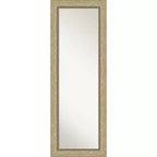 19" x 53" Non-Beveled Astor Champagne Full Length on The Door Mirror - Amanti Art: Includes Mounting Hardware, Polystyrene Frame