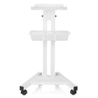 Carrello portautensili - Carrello da salone, bianco